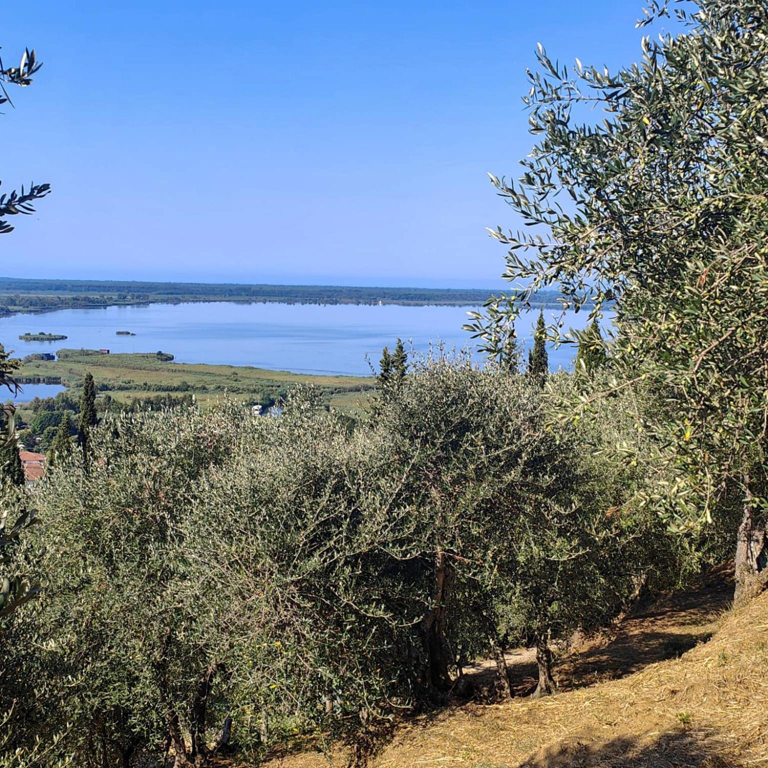 Massaciuccoli Romana Exterior photo